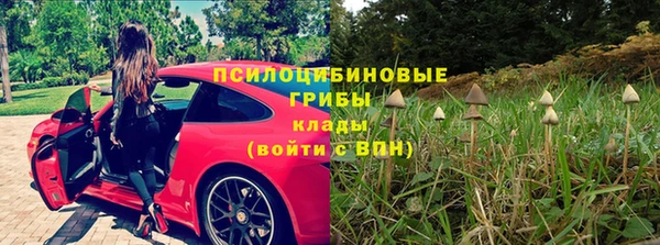 метадон Нея